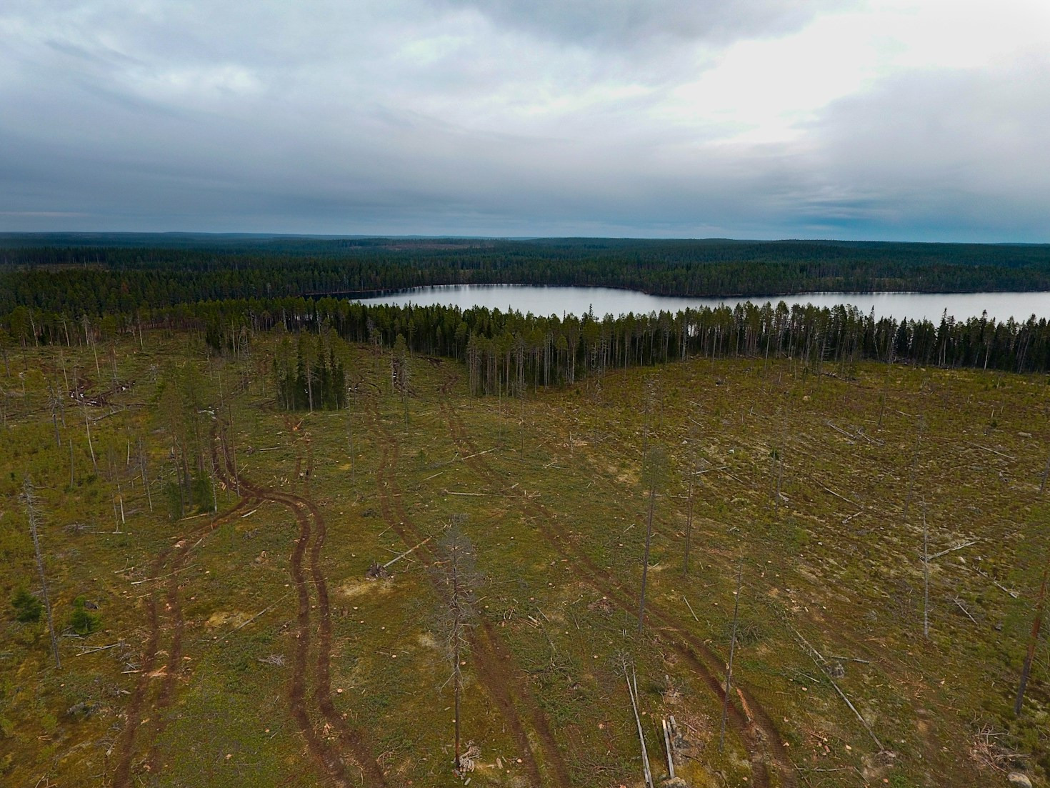 The Role of Dialogue in Environmental Change